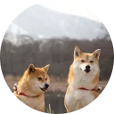 👫-Vasya Piton, Telegram Sticker