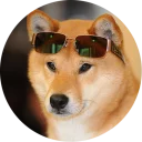 😎-Vasya Piton, Telegram Sticker
