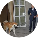 😣-Vasya Piton, Telegram Sticker
