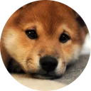 😔-Vasya Piton, Telegram Sticker