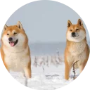 👫-Vasya Piton, Telegram Sticker