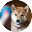 😯-Vasya Piton, Telegram Sticker