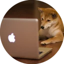 💻-Vasya Piton, Telegram Sticker