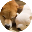 👫-Vasya Piton, Telegram Sticker