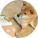 📕-Vasya Piton, Telegram Sticker