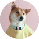 👕-Vasya Piton, Telegram Sticker