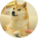 😧-Vasya Piton, Telegram Sticker