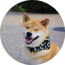 😝-Vasya Piton, Telegram Sticker