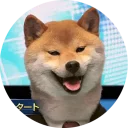 📡-Vasya Piton, Telegram Sticker