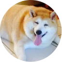 🍕-Vasya Piton, Telegram Sticker