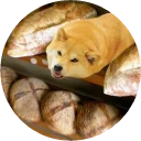 💣-Vasya Piton, Telegram Sticker