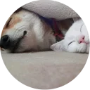 👫-Vasya Piton, Telegram Sticker
