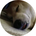 💤-Vasya Piton, Telegram Sticker