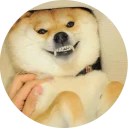 😁-Vasya Piton, Telegram Sticker
