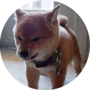 😡-Vasya Piton, Telegram Sticker