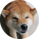 ☺️-Vasya Piton, Telegram Sticker
