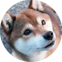 😐-Vasya Piton, Telegram Sticker