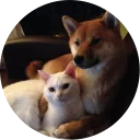 👫-Vasya Piton, Telegram Sticker