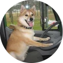 🚚-Vasya Piton, Telegram Sticker
