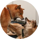😡-Vasya Piton, Telegram Sticker