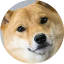 😐-Vasya Piton, Telegram Sticker
