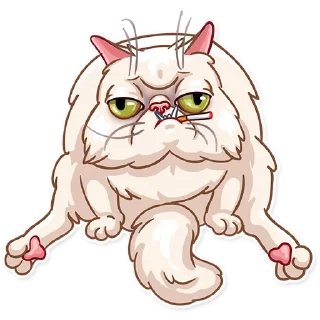 🤨-Pretty Cat, Telegram Sticker