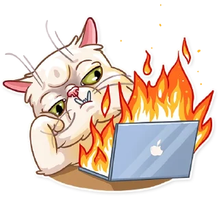 🔥-Pretty Cat, Telegram Sticker
