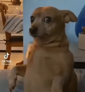 😕-Amauri Video Steal Pack 1, Telegram Sticker