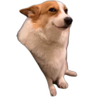 😏-Op Badwa's video pack (@Mikasa_Ackr_bot) 1, Telegram Sticker