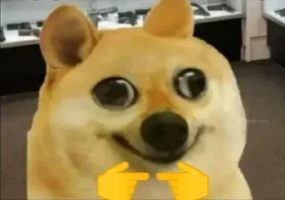 😂-Op Badwa's video pack (@Mikasa_Ackr_bot) 1, Telegram Sticker