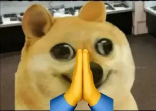 😂-Op Badwa's video pack (@Mikasa_Ackr_bot) 1, Telegram Sticker