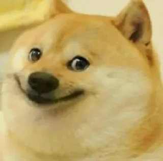 🙂-Op Badwa's video pack (@Mikasa_Ackr_bot) 1, Telegram Sticker