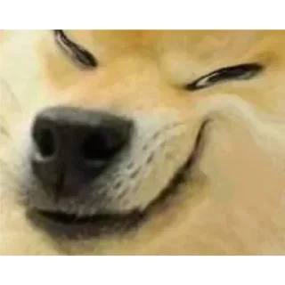 😈-Op Badwa's video pack (@Mikasa_Ackr_bot) 1, Telegram Sticker