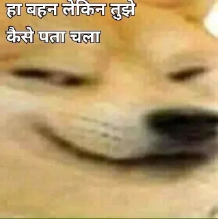 😞-Op Badwa's video pack (@Mikasa_Ackr_bot) 1, Telegram Sticker