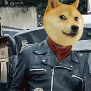 ⚠️-aLien.xAViERs video kang pack, Telegram Sticker