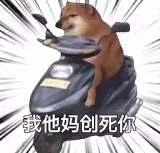 🛵-aLien.xAViERs video kang pack, Telegram Sticker