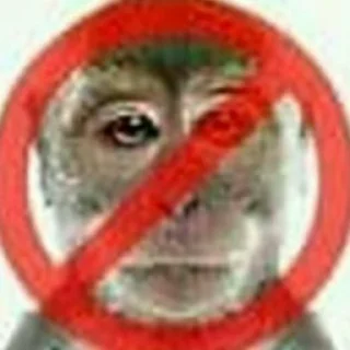 🚫-lotso Video Steal Pack, Telegram Sticker