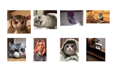 Video pack by @TgSticker