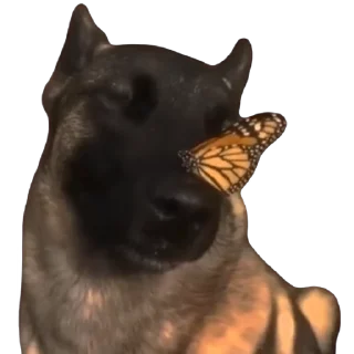 😇-Для важных переговоров @Vik_0st, Telegram Sticker