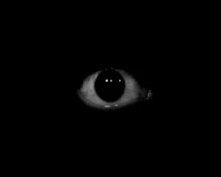 👁-void pack, Telegram Sticker
