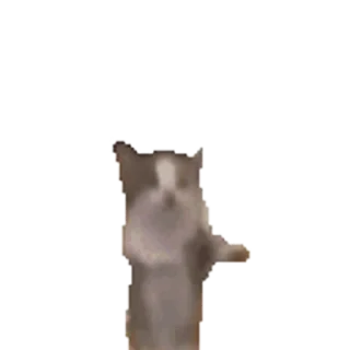 😻-@STJCKERS پریمیوم تلگرام۱۶۵ت @MajazinooBot, Telegram Sticker