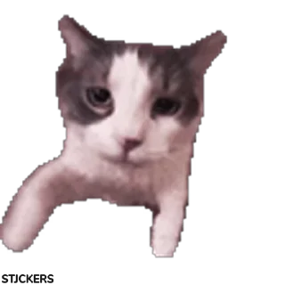 😽-@STJCKERS پریمیوم تلگرام۱۶۵ت @Majazinoo_accbot, Telegram Sticker