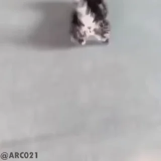 🚶‍♂️-Baby Stickers, Telegram Sticker