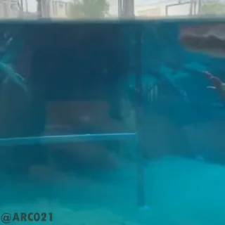 🚶‍♂️-Baby Stickers, Telegram Sticker