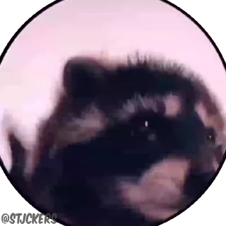 🕺-Baby Stickers, Telegram Sticker