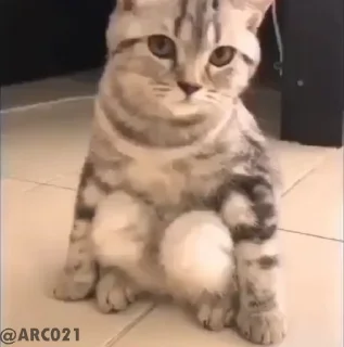 😕-Baby Stickers, Telegram Sticker