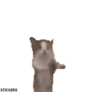 😻-@STJCKERS پریمیوم تلگرام۱۶۵ت @Majazinoo_accbot, Telegram Sticker