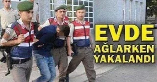 😢-@WereWolfTr, Telegram Sticker