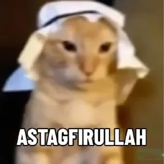🤦-@warnakesukaanmu Vol.3, Telegram Sticker