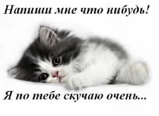 😞-Больше стиков тут: @stikery4, Telegram Sticker